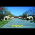 White Marble Camel Statue